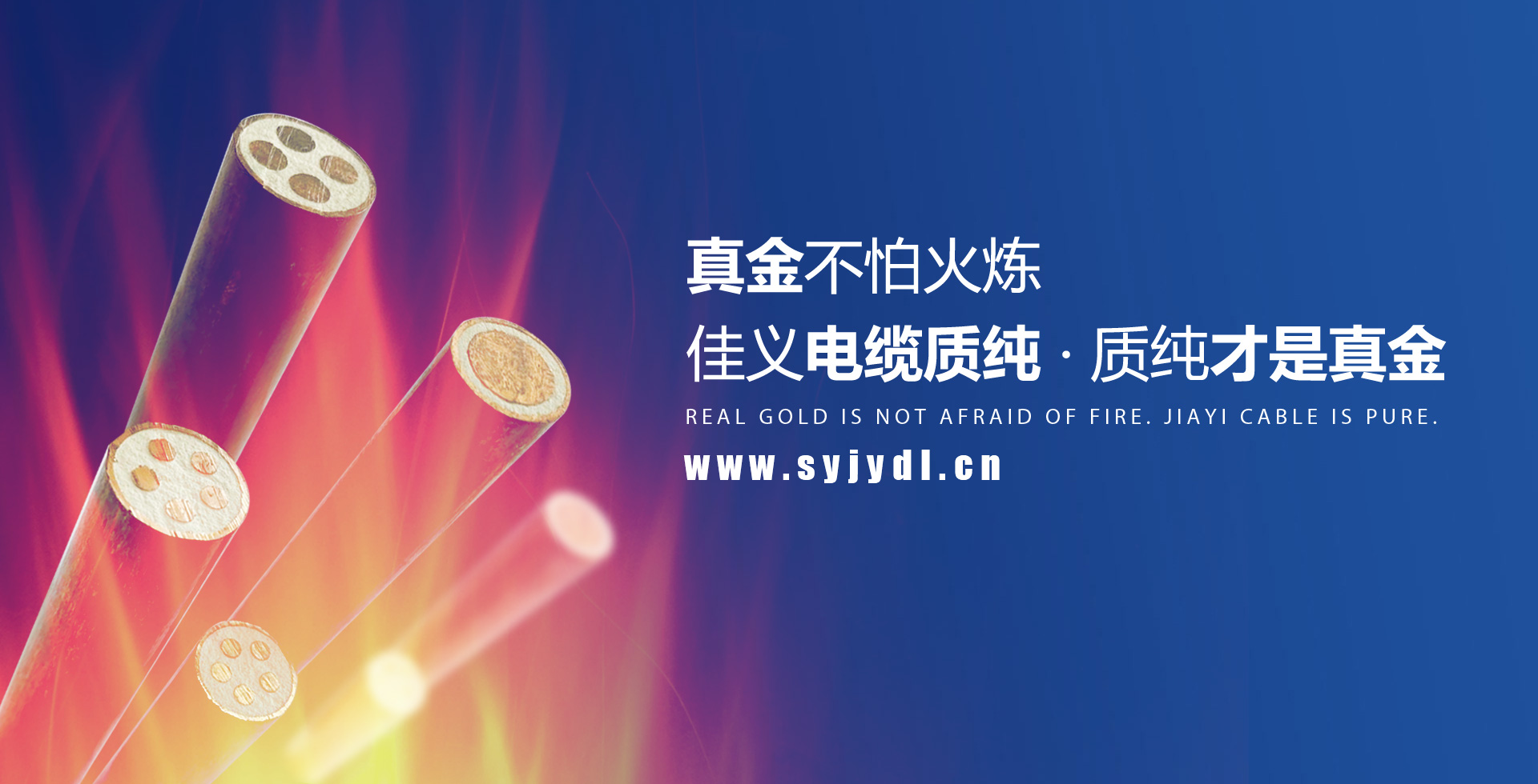 東北左手APP视频下载廠家