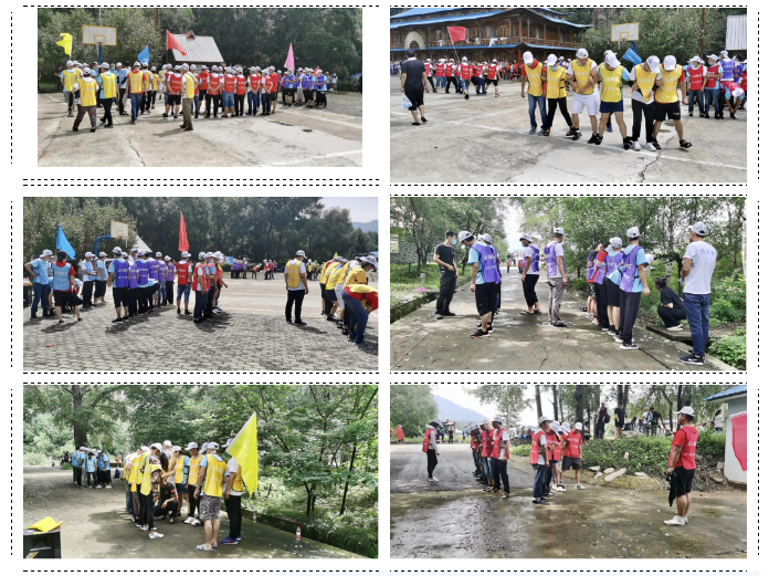 東北左手APP视频下载 東北左手APP视频下载