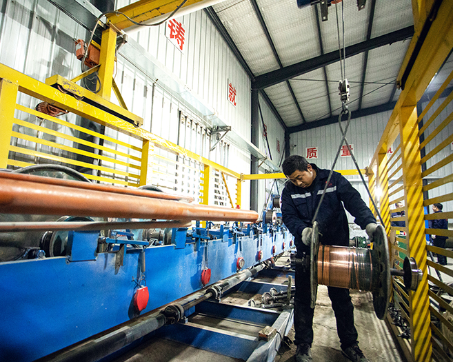 東北左手APP视频下载