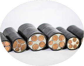 東北左手APP视频下载 東北左手APP视频下载